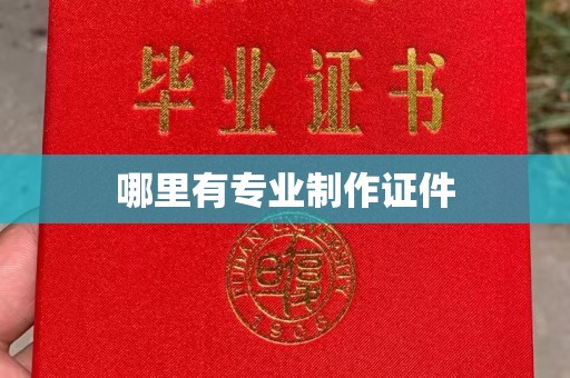 梁河哪里有专业制作证件