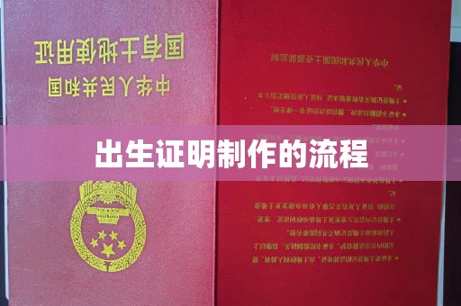 梁河出生证明制作的流程